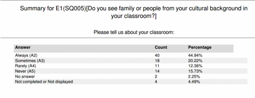 equity cultural background