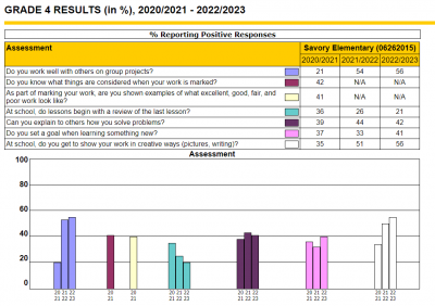 Gr. 4 survey