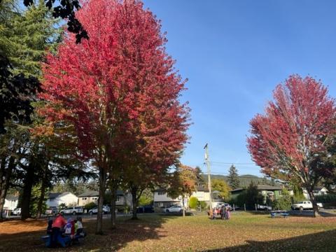 Kindergarten weekly outdoor learning